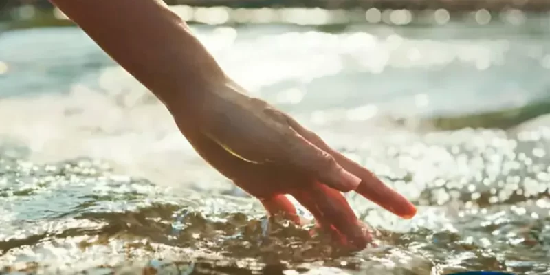 recuperacion-del-ecositema-Fundacion-360 – 1K JPEG recuperacion-del-ecositema-Fundacion-360 - 1K JPEG